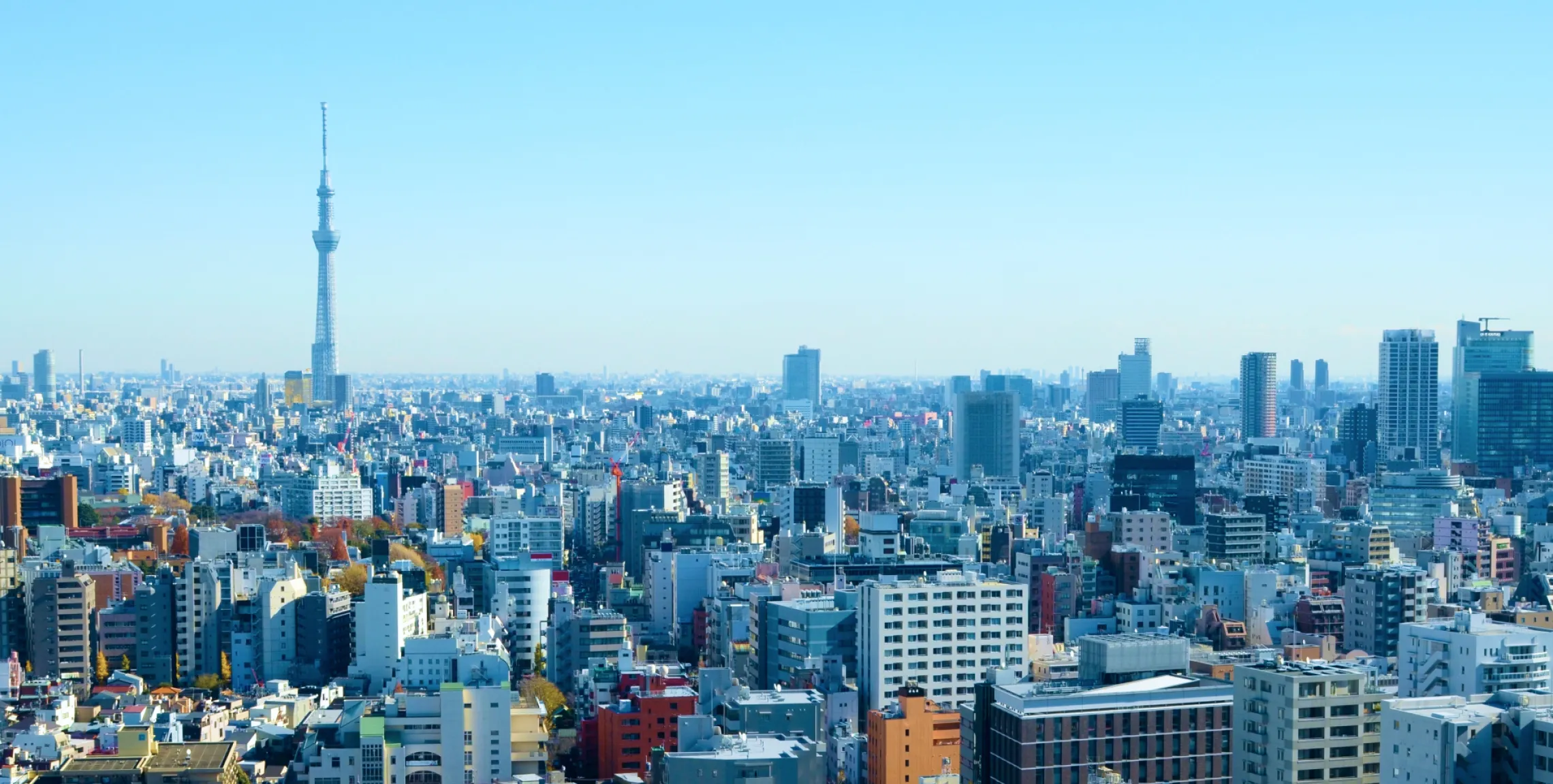 東京のビル群