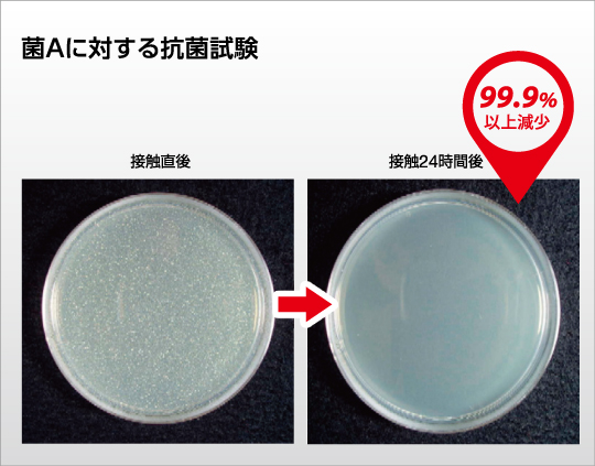 菌Aに対する抗菌試験