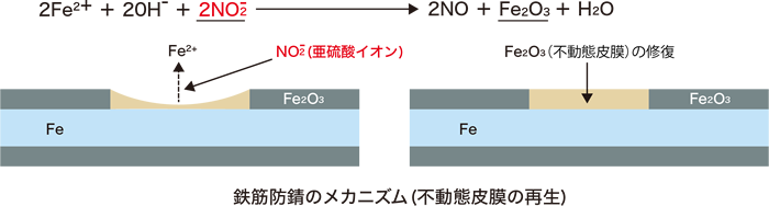 鉄筋防錆のメカニズム（不動態皮膜の再生）