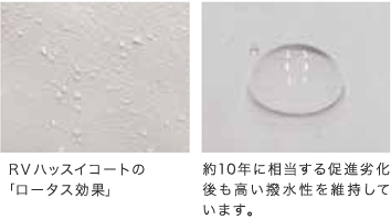 リバンプコート