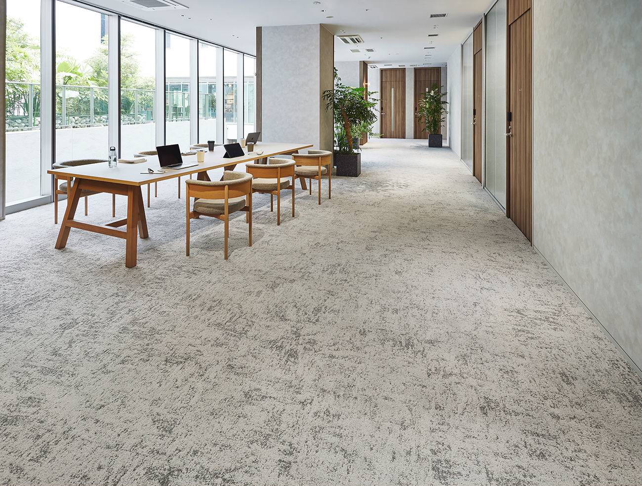 タピス スグラフィート